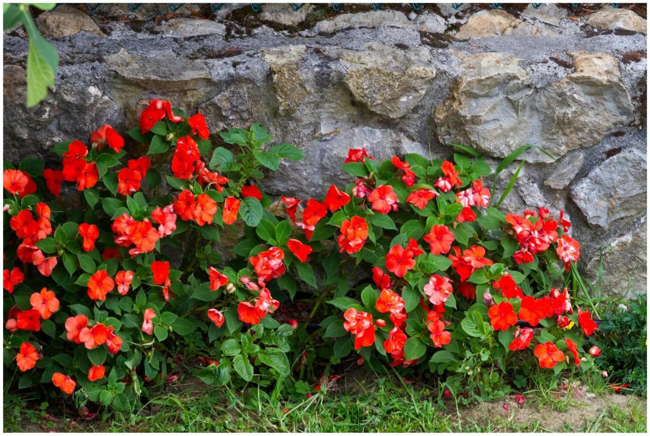 Posada Casa Suenos โซโม ภายนอก รูปภาพ
